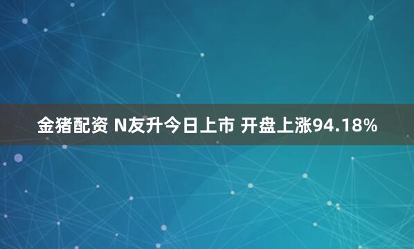金猪配资 N友升今日上市 开盘上涨94.18%
