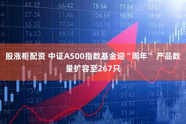 股涨柜配资 中证A500指数基金迎“周年” 产品数量扩容至267只